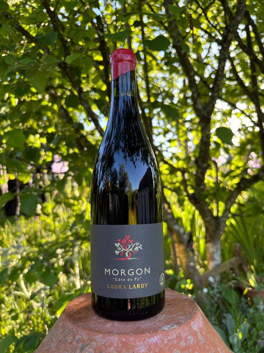 Morgon "Côte du Py" 2022 - LAURA LARDY