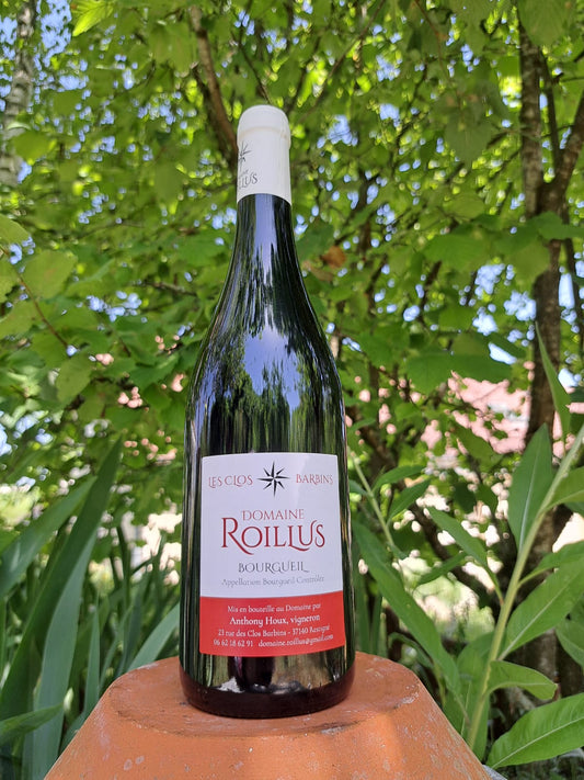 Bourgueil Rouge "Les clos Bardin" 2023 - Domaine Roilius
