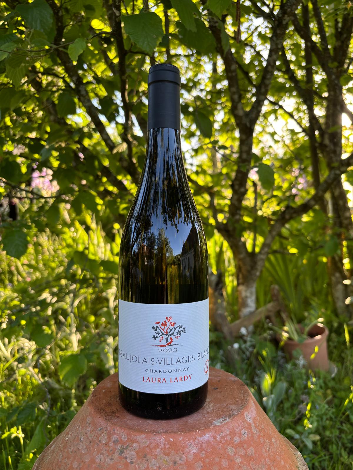 Beaujolais-Villages Chardonnay  2023 - LAURA LARDY